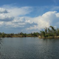 Донские виды. :: Виктор 