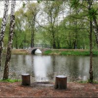 Весенний пейзаж :: Серый 