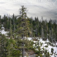 Весна на Мяо-Чане :: Людмила Фил
