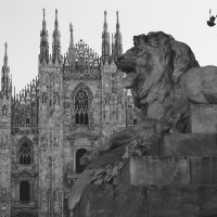 Миланский лев :: Civetta ***