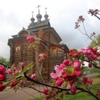Коломенское 27 апреля :: Михаил Бибичков