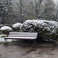 Падает снег :: Galina Solovova Падает снег :: Galina Solovova