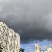 Апрельский денёк :: Pippa Апрельский денёк :: Pippa