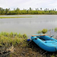 Июнь...За карасями! :: Владимир 