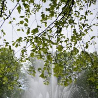 Встреча у фонтана.... :: Referee (Дмитрий) Встреча у фонтана.... :: Referee (Дмитрий)