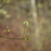 ___ :: Yuriy V ___ :: Yuriy V