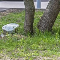 Не дожил до лета :: Валерий Иванович