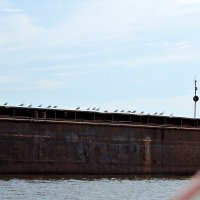 Птичья баржа :: Марсель Валеев