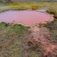 Розовой пруд с горячей водой :: Георгий А