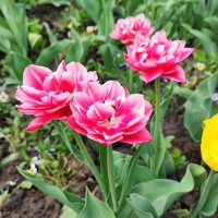 ,,, :: Сергей Тимоновский ,,, :: Сергей Тимоновский