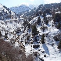 ЗИМНЯЯ ПРОГУЛКА. :: Виктор Осипчук