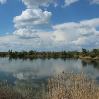 Донские виды. :: Виктор 