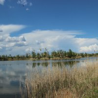 Весна на дону. :: Виктор Весна на дону. :: Виктор