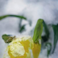 Замело нас сегодня :: Svetlana Galvez