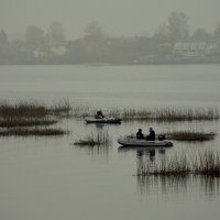 Туман не помеха.... :: Aleksandr Gal