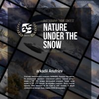 Итоги 2024 :: arkadii Итоги 2024 :: arkadii