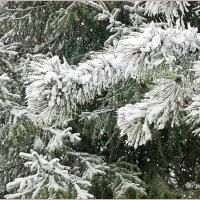 ❝ Никогда такого не было, и вот опять! ❞ :: Aquarius - Сергей ❝ Никогда такого не было, и вот опять! ❞ :: Aquarius - Сергей