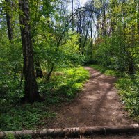 * * * :: Андрей Лукьянов