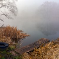 под огородами :: Виталий Емельянов