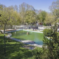 Весенний горсад :: Валентин Семчишин Весенний горсад :: Валентин Семчишин