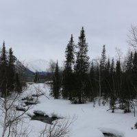 Река Вудъяврйок :: Ольга 