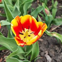 ,,,, :: Сергей Тимоновский