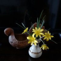 *** :: Валентина Береснева