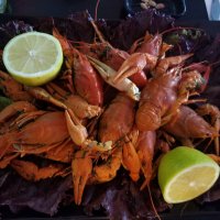 Раки . :: Светлана Хращевская