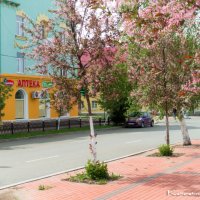 Про Весну. :: Константин Есипов