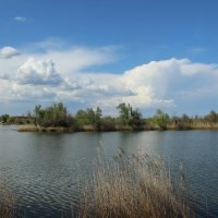 *** :: Виктор *** :: Виктор