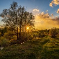 Весенний вечер 5 :: Андрей Дворников