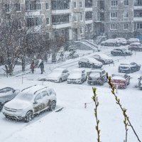 Апрель. :: Наталья 