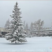 «Нас утро встречает прохладой…» :: Aquarius - Сергей