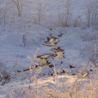 Ручей в снегу :: Сергей Швечков Ручей в снегу :: Сергей Швечков
