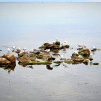 Штиль :: Татьяна Лютаева