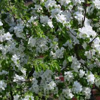 Москва. Парк Зарядье. Апрель. :: Наташа *****