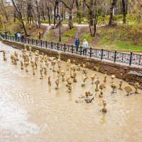 плавающие скульптуры :: Дмитрий Лупандин плавающие скульптуры :: Дмитрий Лупандин