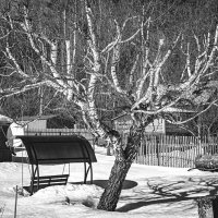 Дачные зарисовки :: Владимир Нефедов