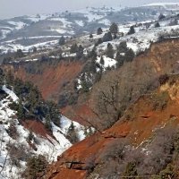 ВОСКРЕСНАЯ ПРОГУЛКА. :: Виктор Осипчук