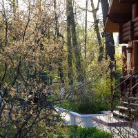 весна идет по городу :: Олег Лукьянов весна идет по городу :: Олег Лукьянов