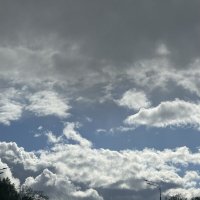 За секунды до дождя :: Анна Камс