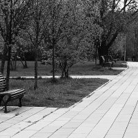 И уносит их вдаль... :: Василий Палий И уносит их вдаль... :: Василий Палий