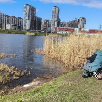 Рыбаки на берегу. :: Ольга 