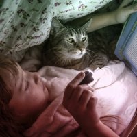 Под одеялом :: Дмитрий Балашов