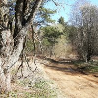 Про апрель :: Наталья Герасимова