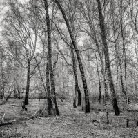 Пейзаж :: SanSan 