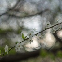 ___ :: Yuriy V ___ :: Yuriy V