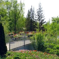 Гуляя по парку :: Фёдор Меркурьев Гуляя по парку :: Фёдор Меркурьев