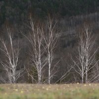 * :: Александр Иванов