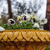 *** :: Дмитрий Лупандин